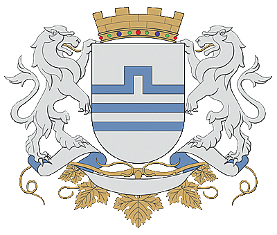 Podgorica flag